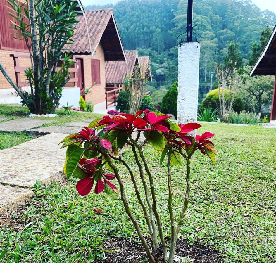 Villa Chales Encantus Monte Verde  Exterior foto